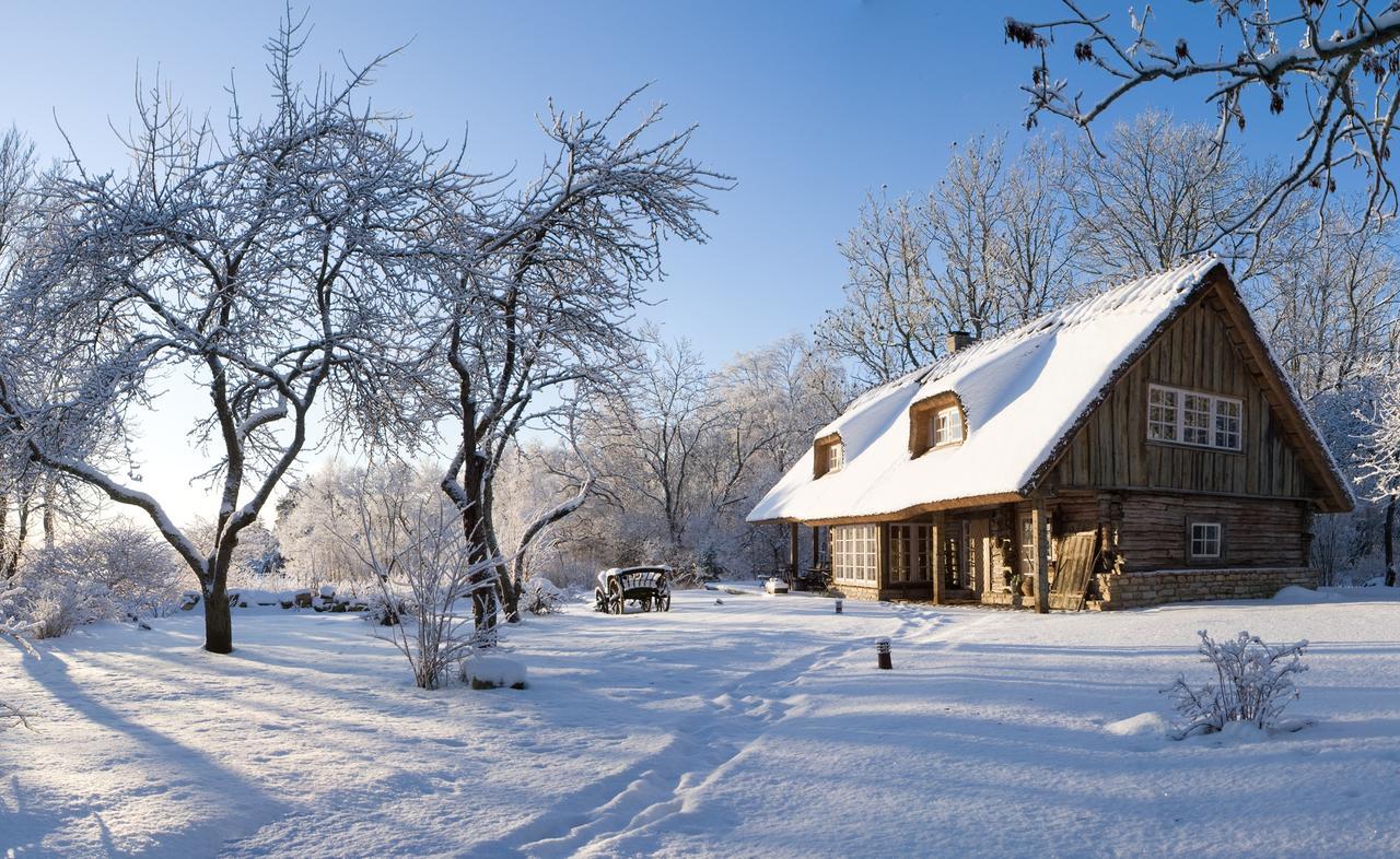 Paedaste Manor Kültér fotó
